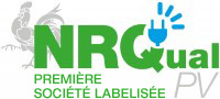 NRQual Logo
